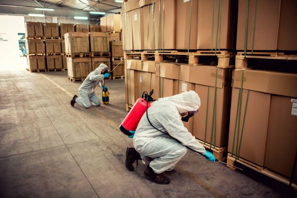 Best Emergency Pest Control  in Albany, OR