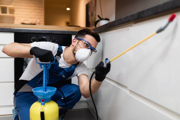 Best Ant Control Services  in Albany, OR