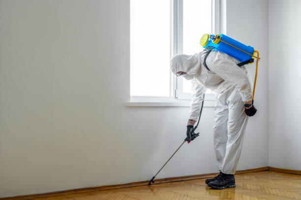 Best Wildlife Control Services  in Albany, OR