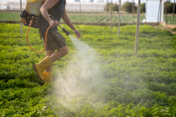 Trusted Albany, OR Pest Control Experts
