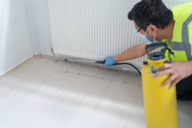 Best Best Pest Control Companies  in Albany, OR