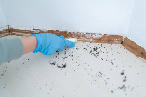 Best Exterminator Services  in Albany, OR