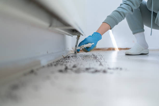 Best Mosquito Control Services  in Albany, OR